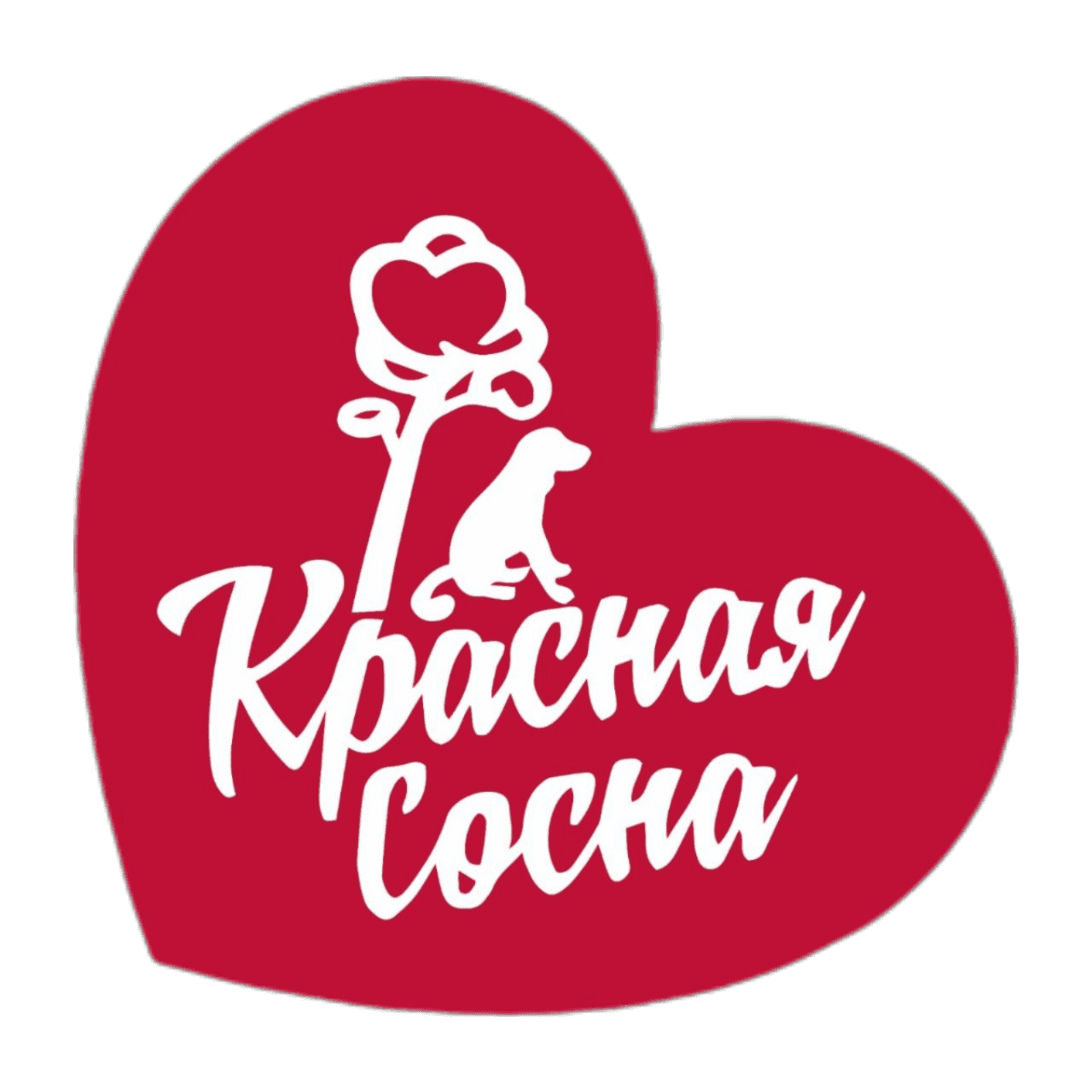 Красная Сосна